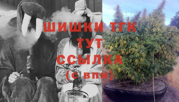 MESCALINE Горняк