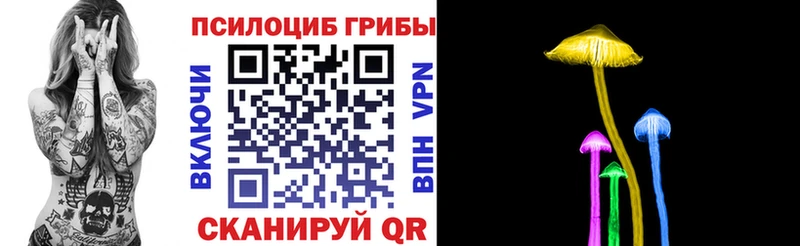Псилоцибиновые грибы Cubensis  Ермолино 