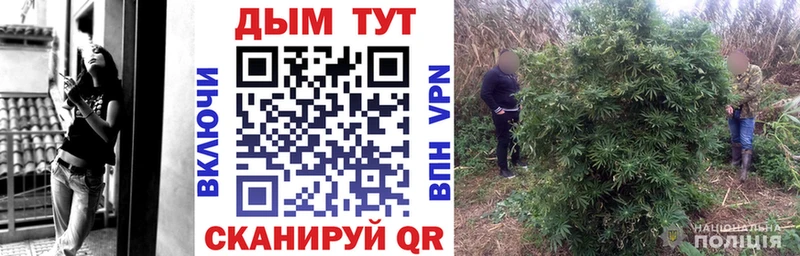 где можно купить наркотик blacksprut зеркало Канабис марихуана Ермолино